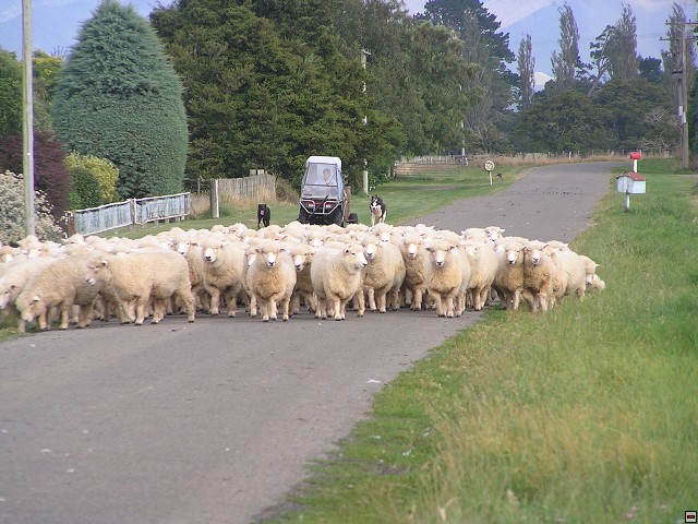 NZ leden-unor 2006 123.jpg